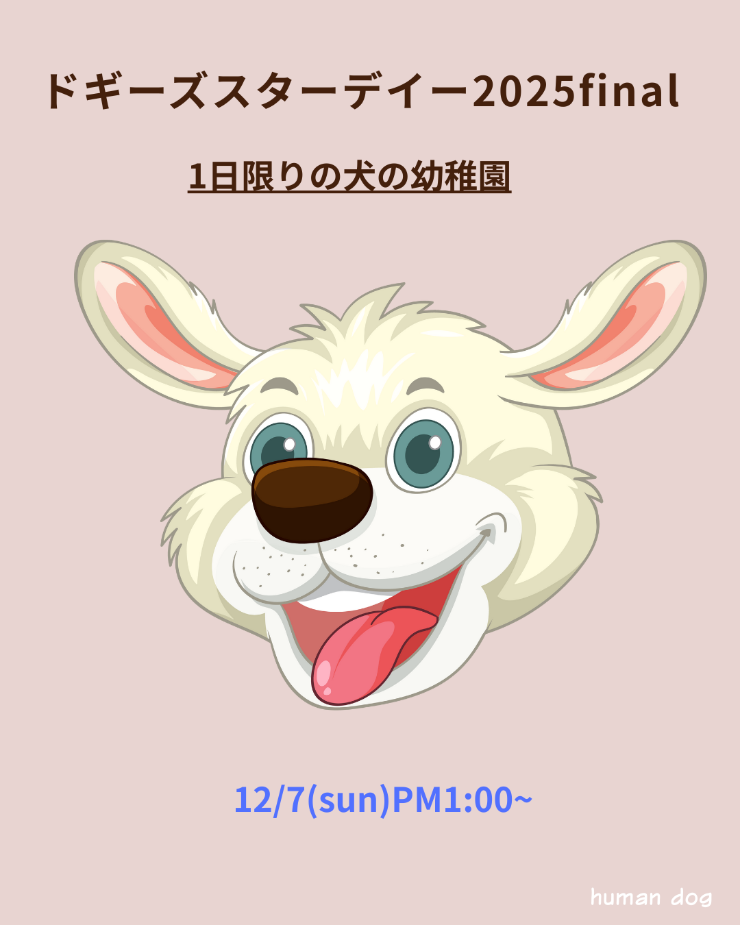 札幌｜犬のしつけ｜ドッグトレーナー｜問題行動修正｜出張トレーニング｜飼い主さんの家庭教師®️