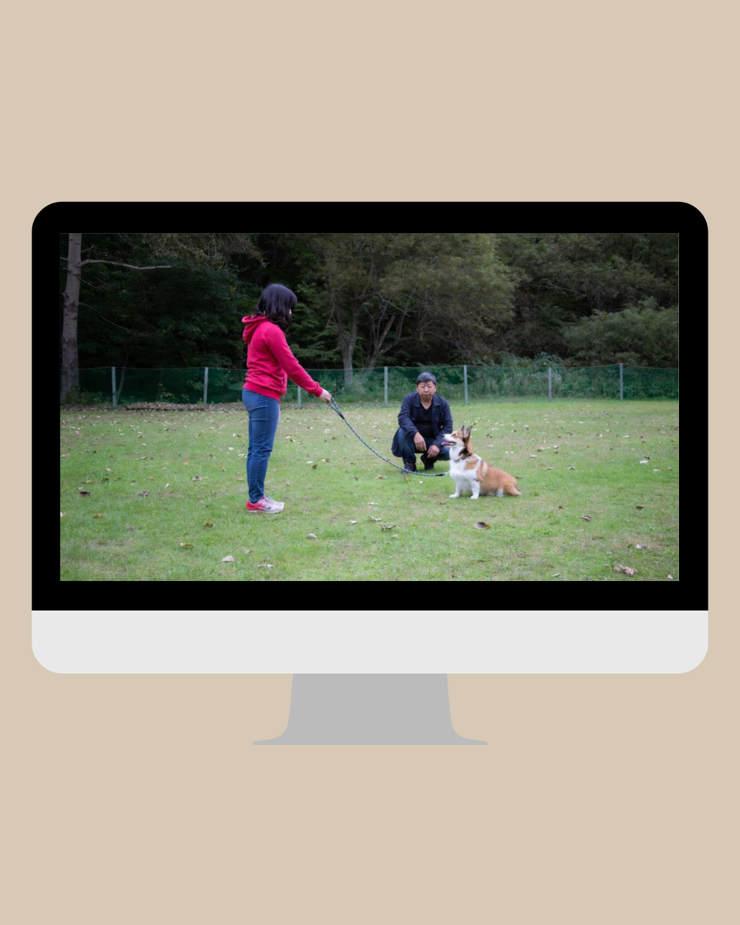 札幌｜犬のしつけ｜ドッグトレーナー｜問題行動修正｜出張トレーニング｜飼い主さんの家庭教師®️