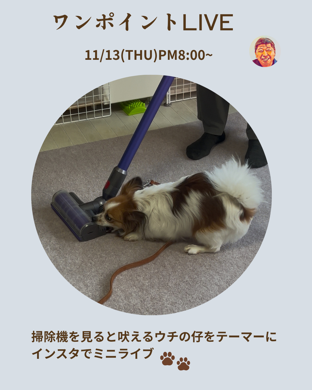 札幌｜犬のしつけ｜ドッグトレーナー｜問題行動修正｜出張トレーニング｜飼い主さんの家庭教師®️