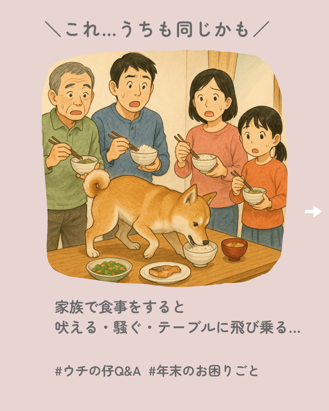 札幌｜犬のしつけ｜ドッグトレーナー｜問題行動修正｜出張トレーニング｜飼い主さんの家庭教師®️