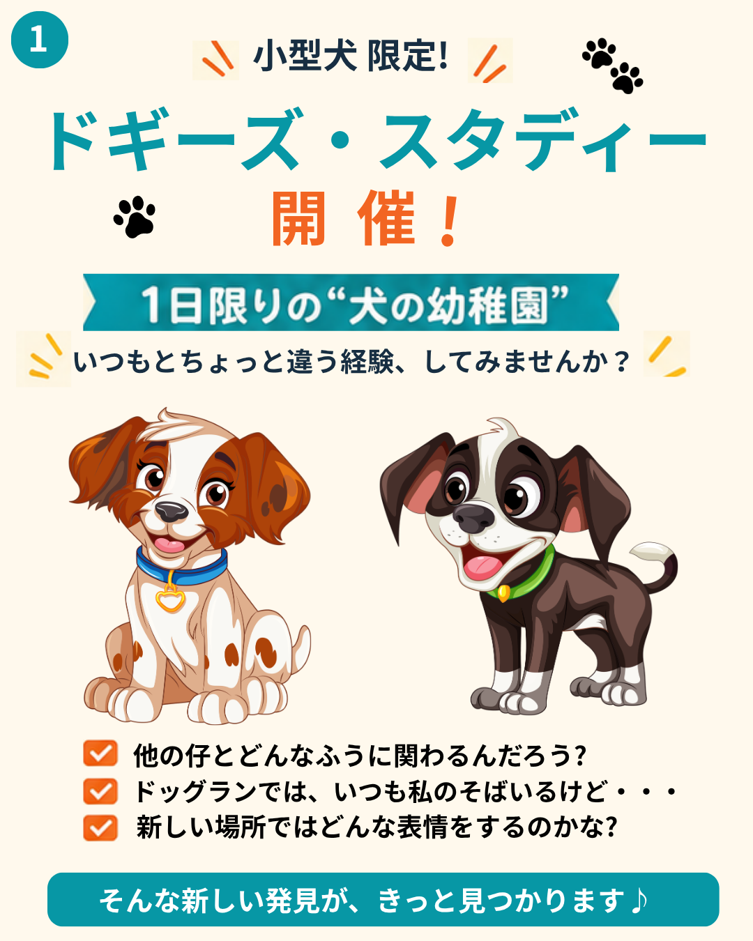 札幌｜犬のしつけ｜ドッグトレーナー｜問題行動修正｜出張トレーニング｜飼い主さんの家庭教師®️
